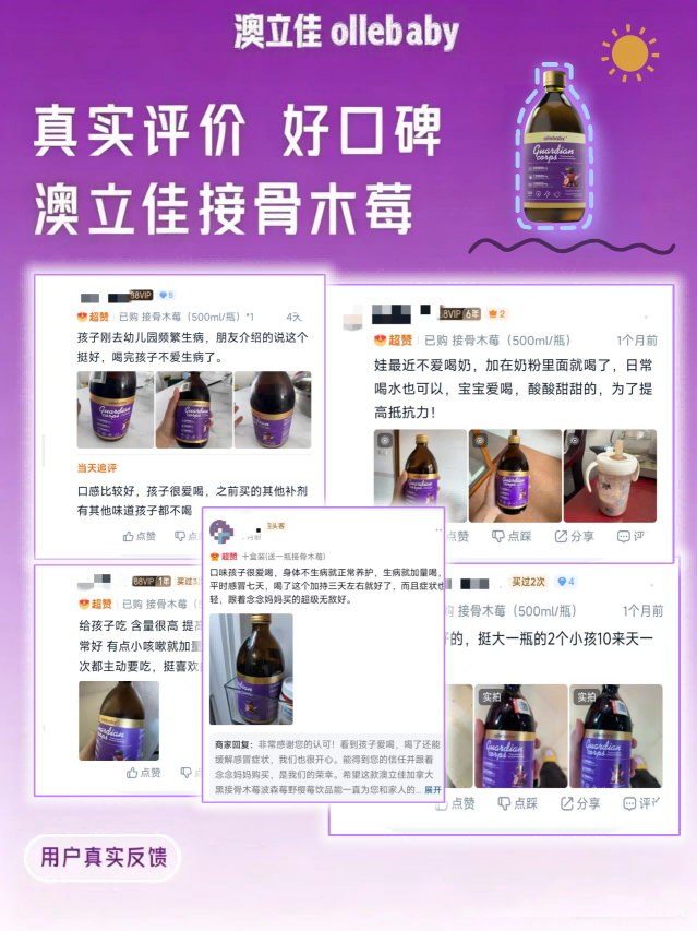 黑接骨木莓 案例好评